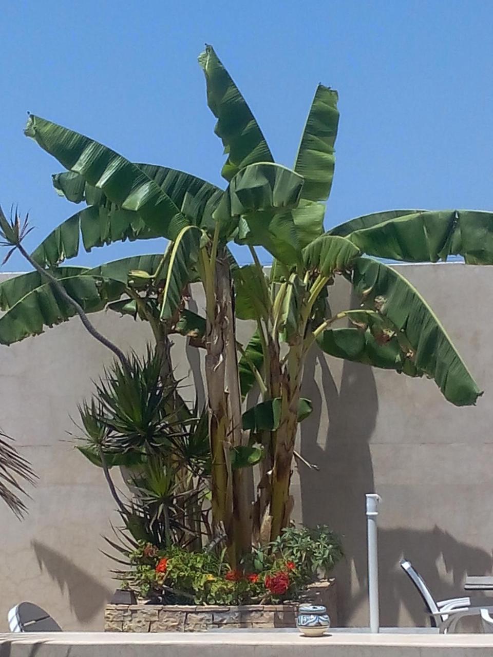 Riad La Villa & Spa El Jadida Eksteriør bilde